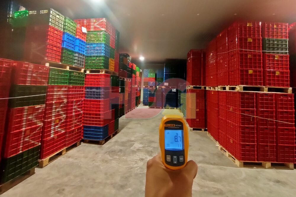 Kho mát xếp đầy sọt nhựa trên pallet, nhân viên đo nhiệt độ bằng súng đo hồng ngoại